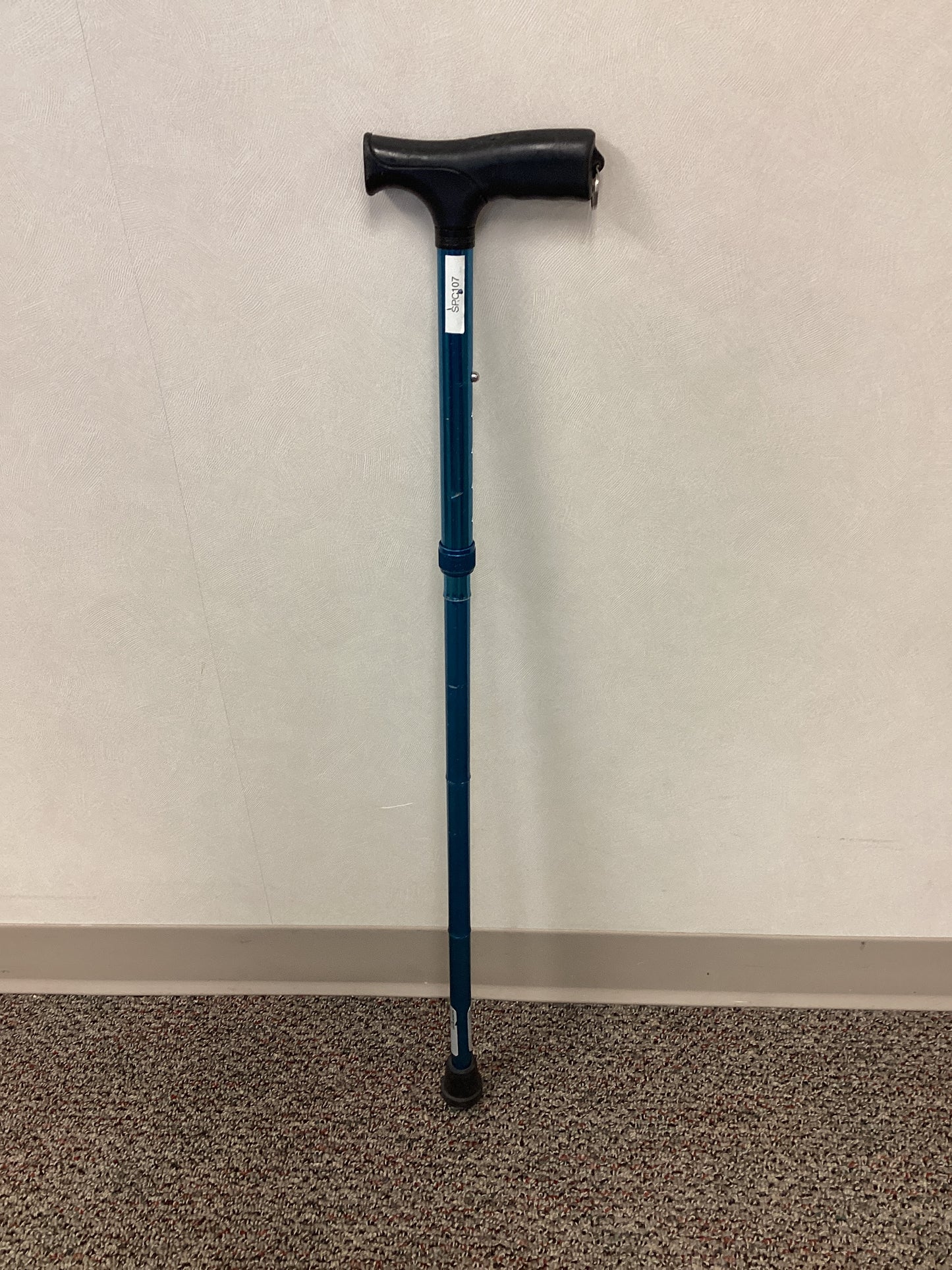 Single Point Cane