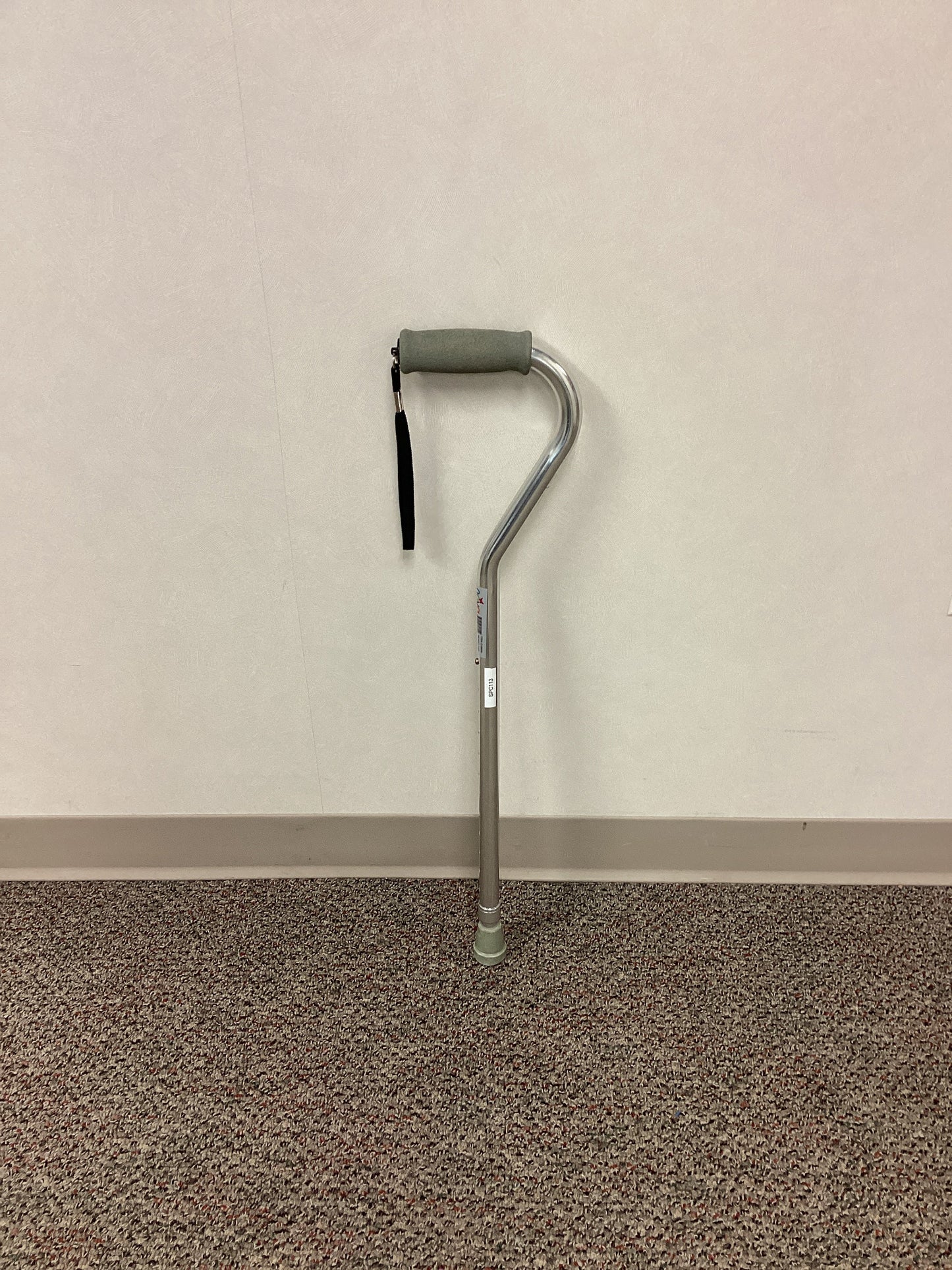 Single Point Cane