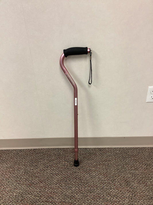 Single Point Cane