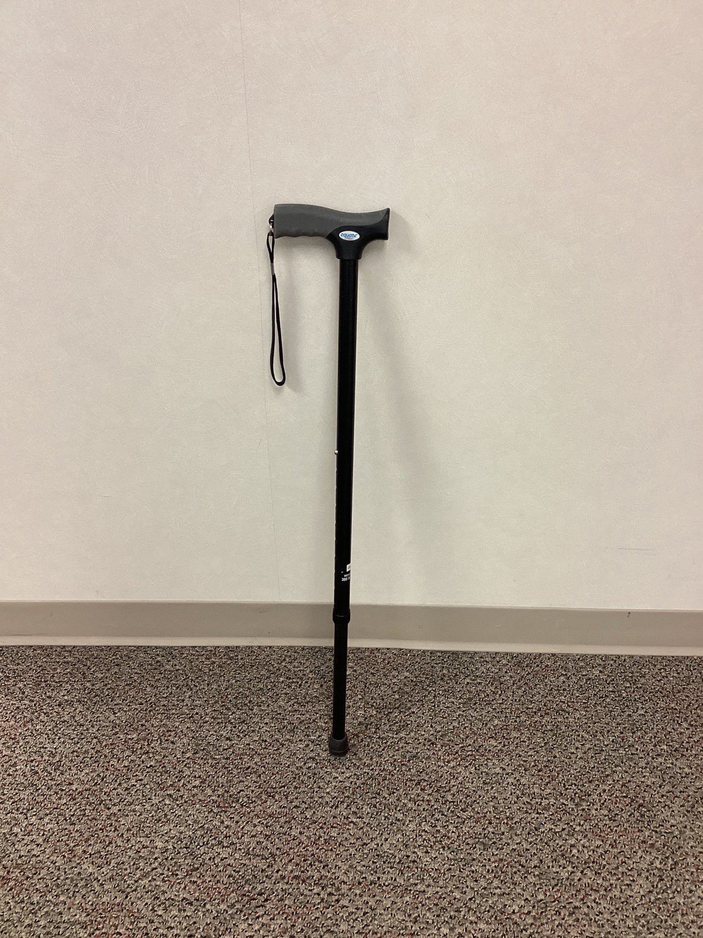 Single Point Cane
