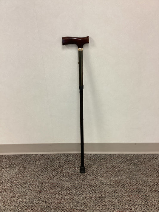 Single Point Cane