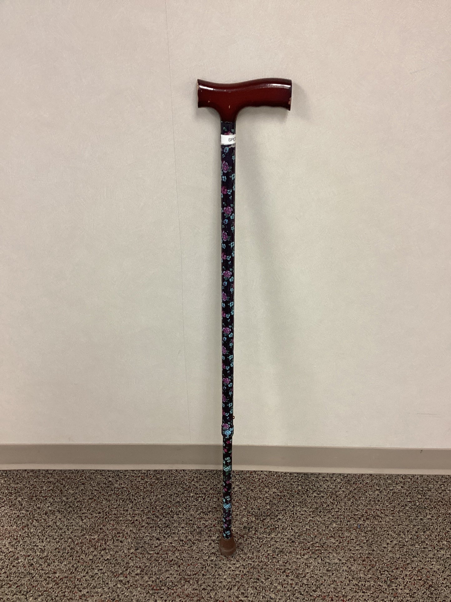 Single Point Cane