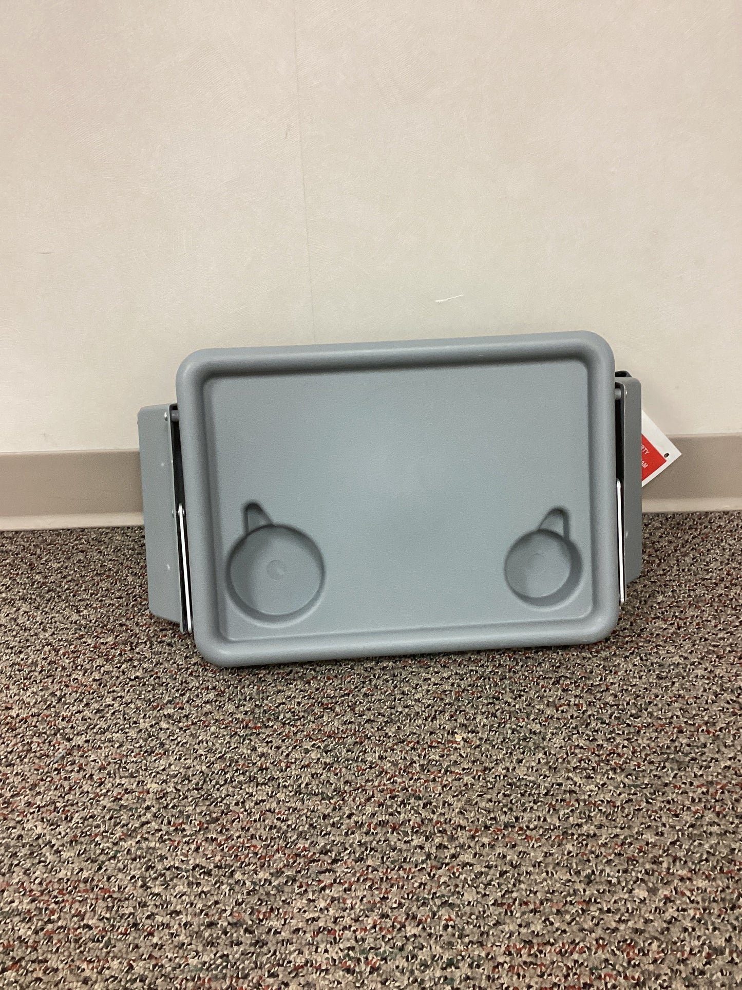 Walker Tray